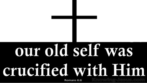 Romans 6:6 Our Old Self Was Crucified With Him (white)